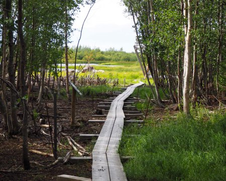 Photo of Northern Ostrobothnia