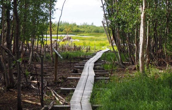 Photo of Northern Ostrobothnia